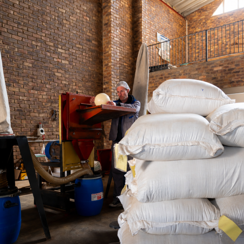 spice manufacturing